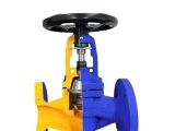 GLOBE VALVE BELLOW