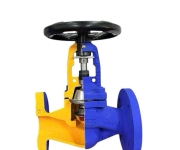 GLOBE VALVE BELLOW