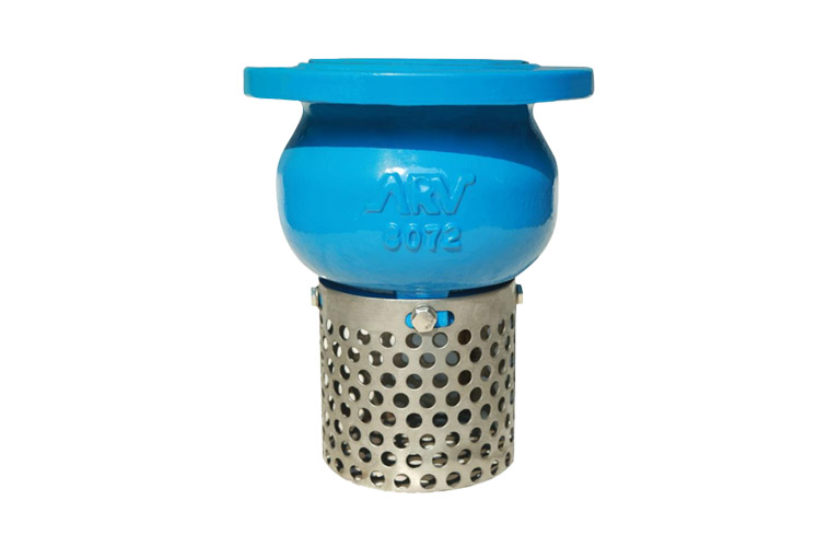 RỌ HÚT MẶT BÍCH PN16 ARV MALAYSIA FCV-400
