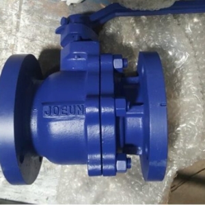 VAN BI GANG MẶT BÍCH PN16 JOEUN
