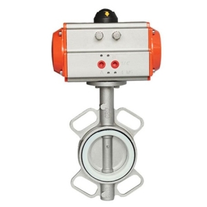 VAN BƯỚM INOX 304 RON PTEF KHÍ NÉN SANPO MALAYSIA