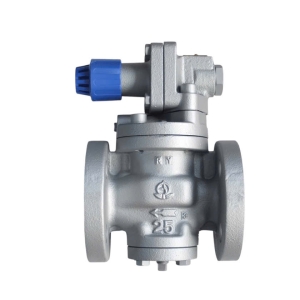 VAN GIẢM ÁP HƠI MẶT BÍCH JIS 10K RP-6 VENN